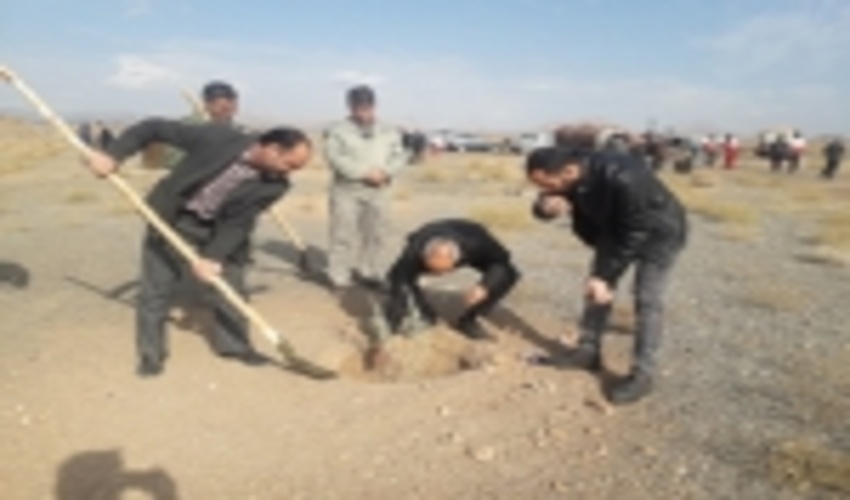 اجرای عملیات بوته کاری در مراتع بردسکن