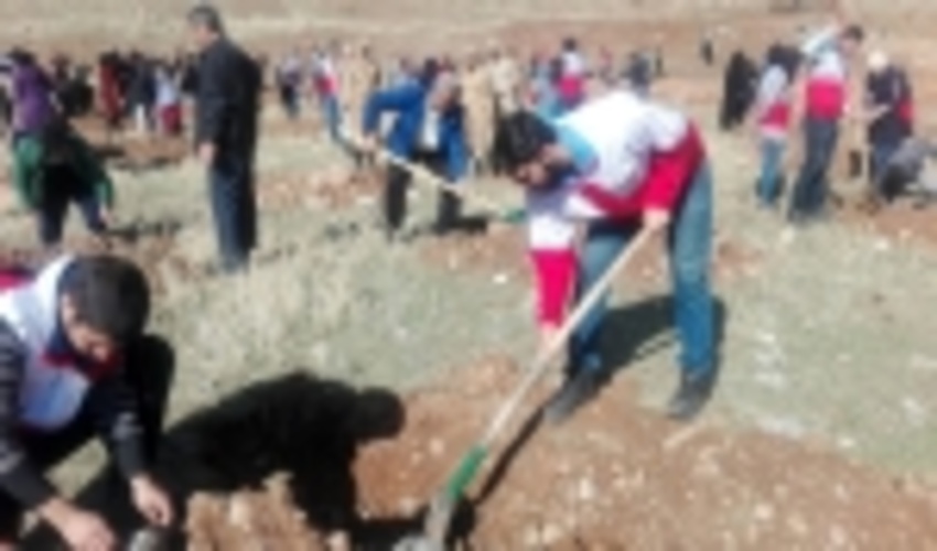 Second Review Session of Tree-Planting Initiative Held at FRWO