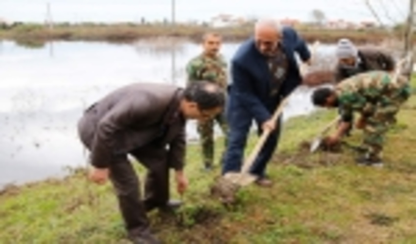 سرانه فضای سبز کشور اندک است 