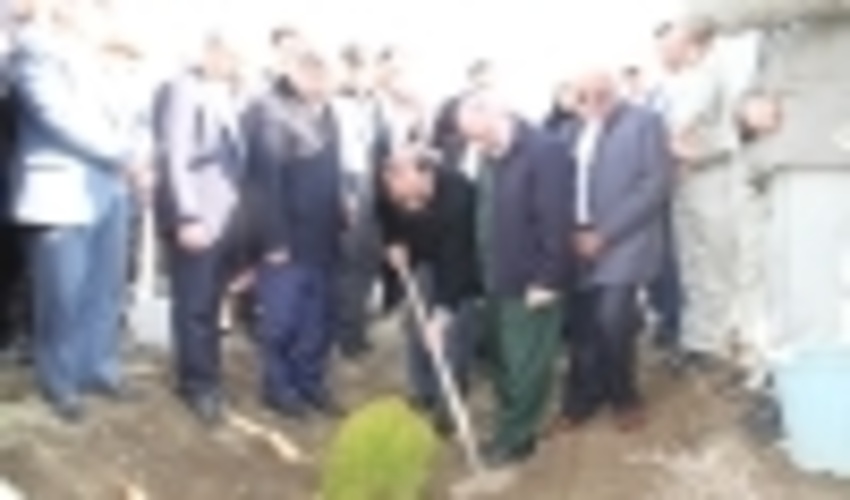 یک هزار و600 هکتاراز اراضی منابع طبیعی استان همدان نهالکاری شد