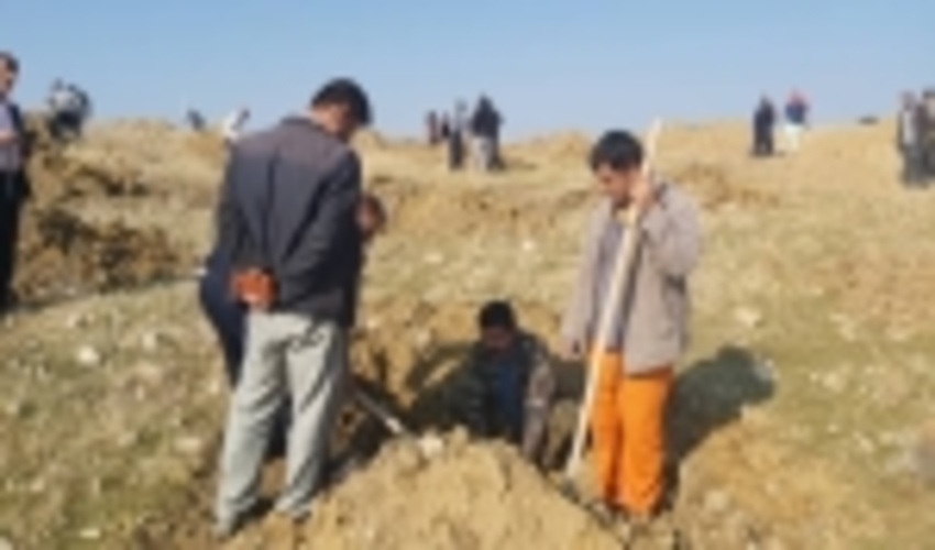 کاشت ۱۴۰ هزار اصله نهال در کهگیلویه و بویراحمد