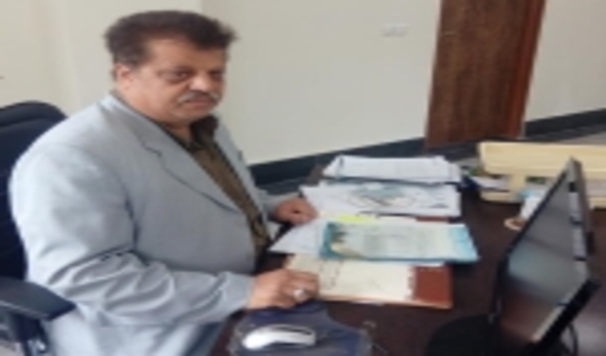 کشف ۵ تُن چوب تاغ در شهرستان شاهرود