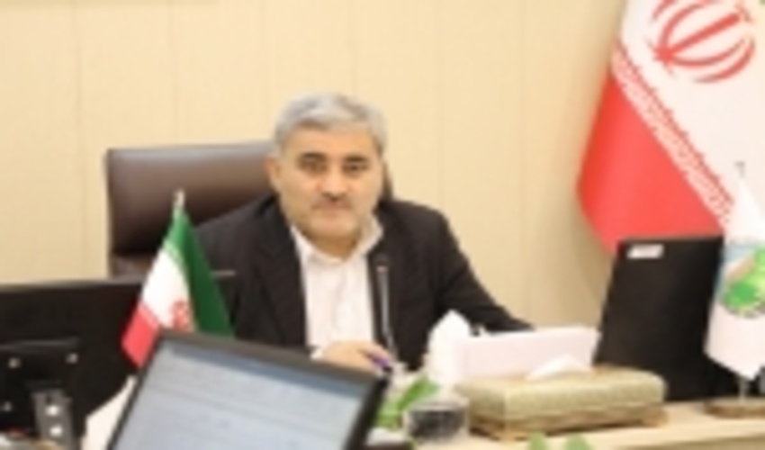 نهالکاری‌ها تا اسفندماه ادامه می یابد