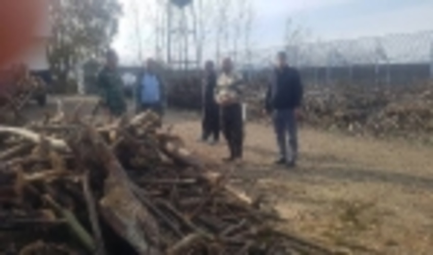 کشف و ضبط چوب آلات قاچاق در گلستان 