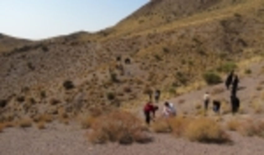 طرح ملی جنگلانه در 100 هکتار از توابع شهرستان بافق اجرا شد