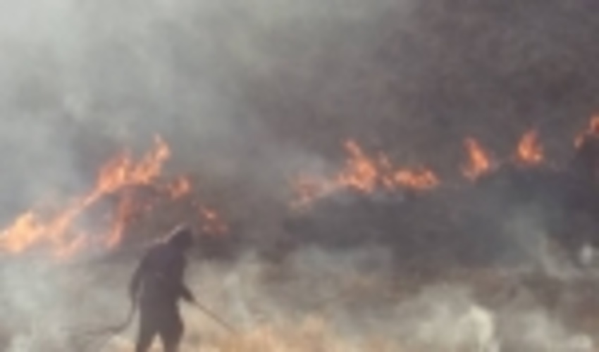 اطفاء حریق در اراضی ملی روستای لهران از توابع شهرستان طالقان