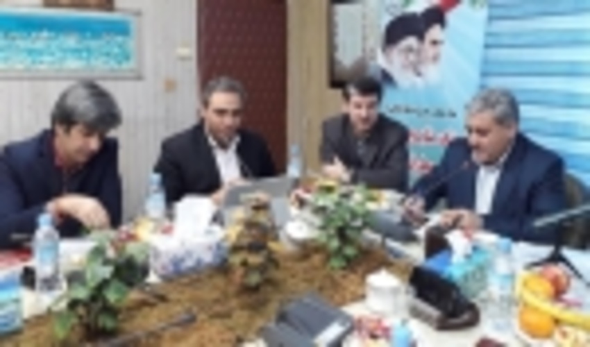 Revision in Buxus Rescue Plan