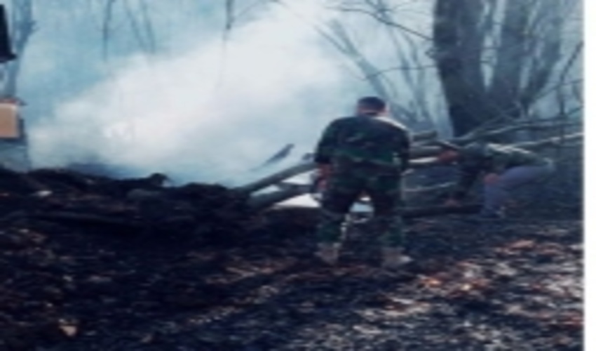 گرما و افزایش دما عامل مهم حریق در جنگل های استان گلستان