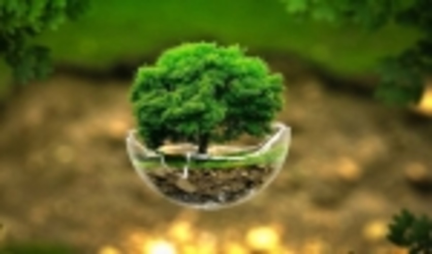 عامل تخریب منابع طبیعی اسدآباد به حفاظت وآبیاری از درختان محکوم شد