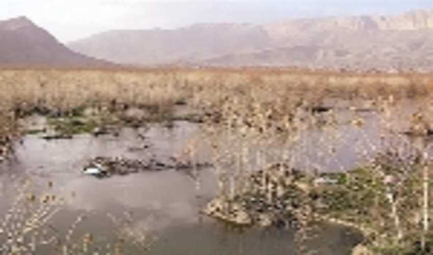 جنوب کرمان/جازموریان یکی از مهمترین اکوسیستم ها