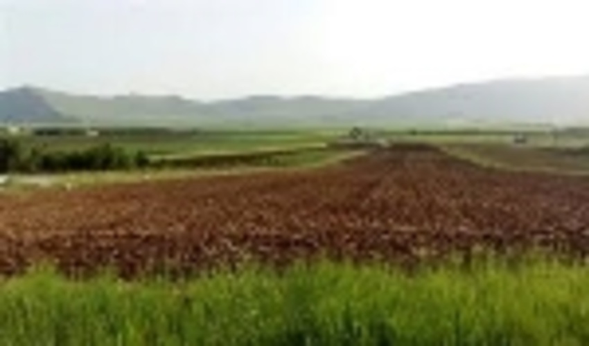 ۷۶۲ هکتار از اراضی منابع طبیعی کردستان رفع تصرف شد