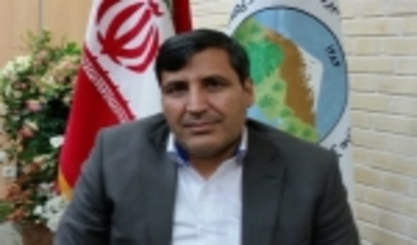 پویش کاشت ۳۳۸ هزار نهال در استان سمنان ادامه دارد