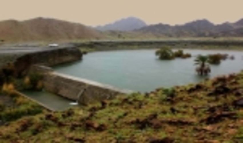 بوشهر/ سدهای آبخیزداری مانع خسارت به کشاورزی کنگان شد