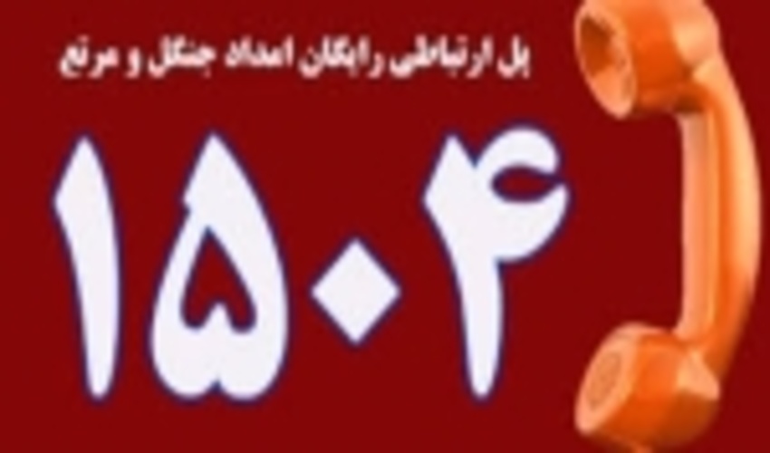 دریافت ۴۰۰۰ گزارش مردمی توسط سامانه منابع طبیعی کردستان