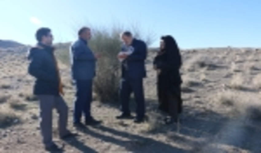  نهال هایی که مستقر شدند تا شهر قم آرام بگیرد 