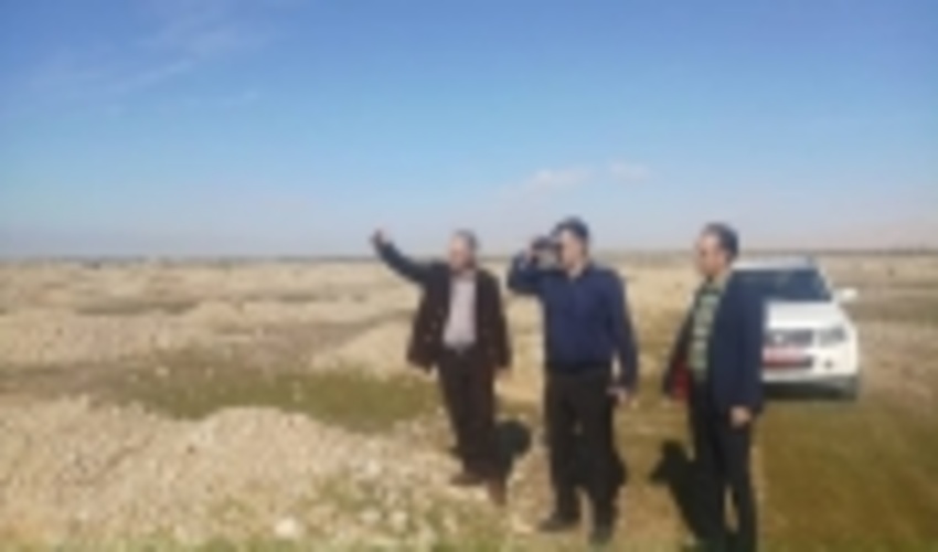 انجام ۱۰ هزار هکتار جنگل کاری در ایلام 