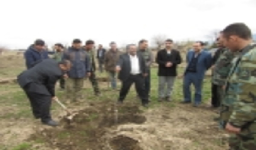 کاشت 16936 اصله نهال جنگلی از محل مجازات های جایگزین حبس در کلاله