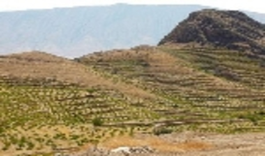 2 هکتار از اراضی ملی در شهرستان سیریک رفع تصرف شد