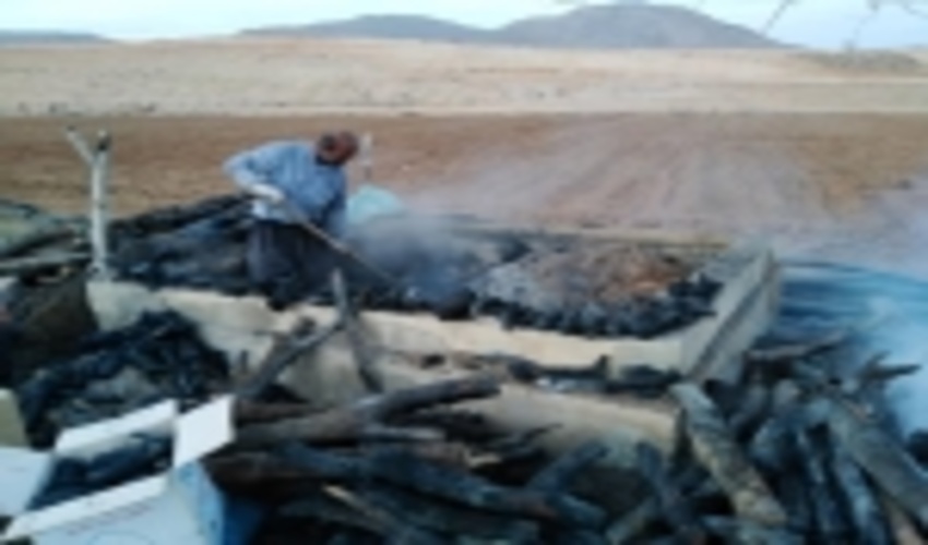 کشف و تخریب یک واحد کوره ذغال غیر مجاز در منطقه ممو بیضا