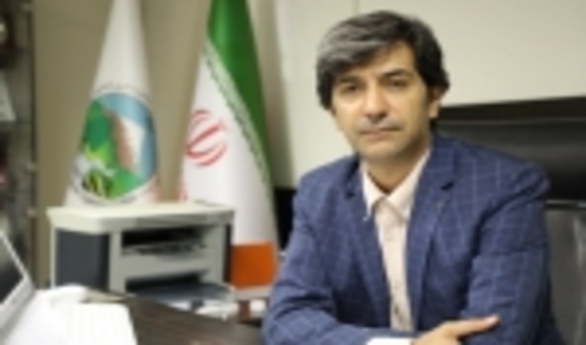  نهالکاری همگانی، برای ایرانی سرسبز