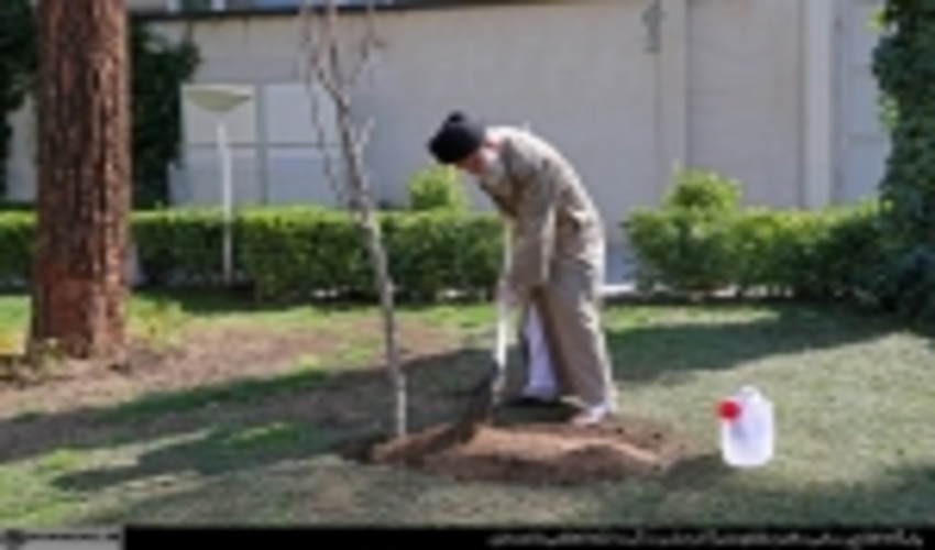 The Supreme Leader Planted Two Saplings on the Occasion of Arbor Day
