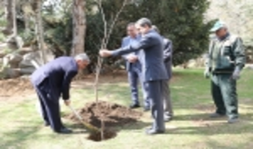 کاشت درخت در کشور تعطیل پذیر نیست