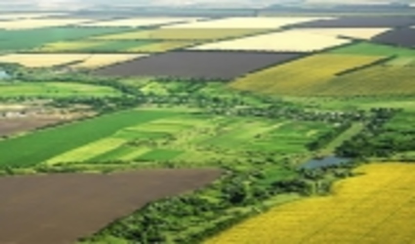 صادر شدن سند دولتی برای ۱۷۲ هزار هکتار عرصه منابع طبیعی در گلستان 