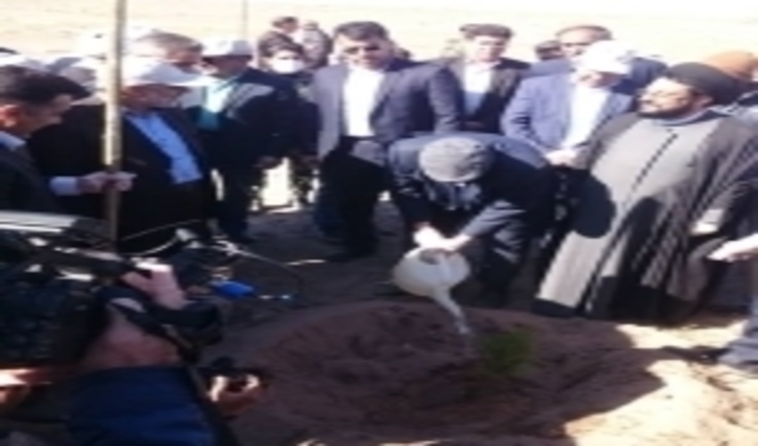 کرمان/افتتاح هم زمان پروژه های نهالکاری به مساحت ۲۳۰۰ هکتار در سراسر استان کرمان 