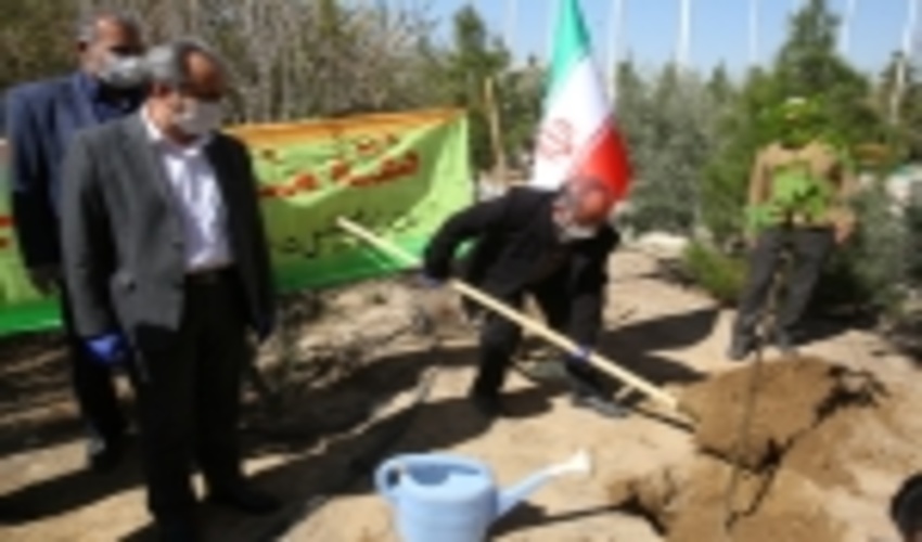 قم/اجرای دو هزار و 157 هکتار نهال‌کاری از مهرماه تا به امروز