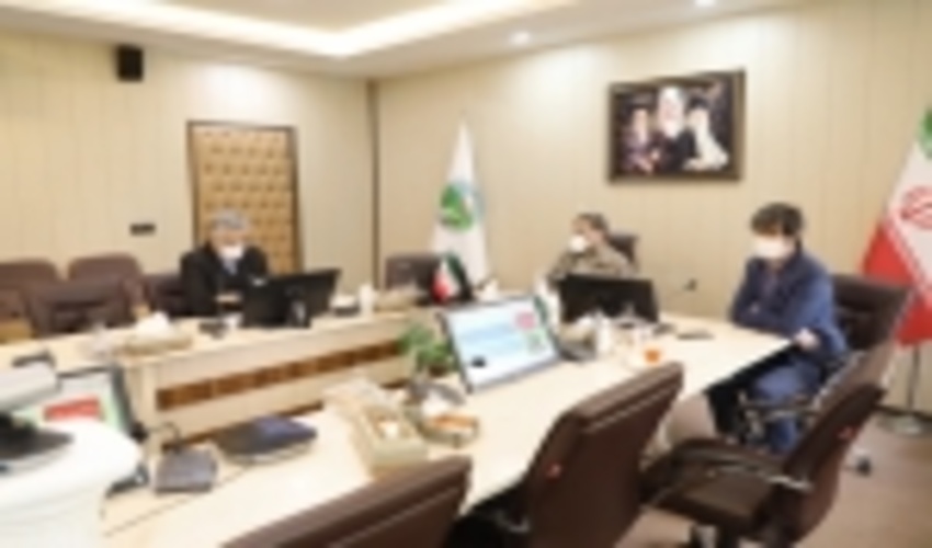 برگزاری کلاس آموزش مجازی مدیران منابع طبیعی در سازمان جنگل ها