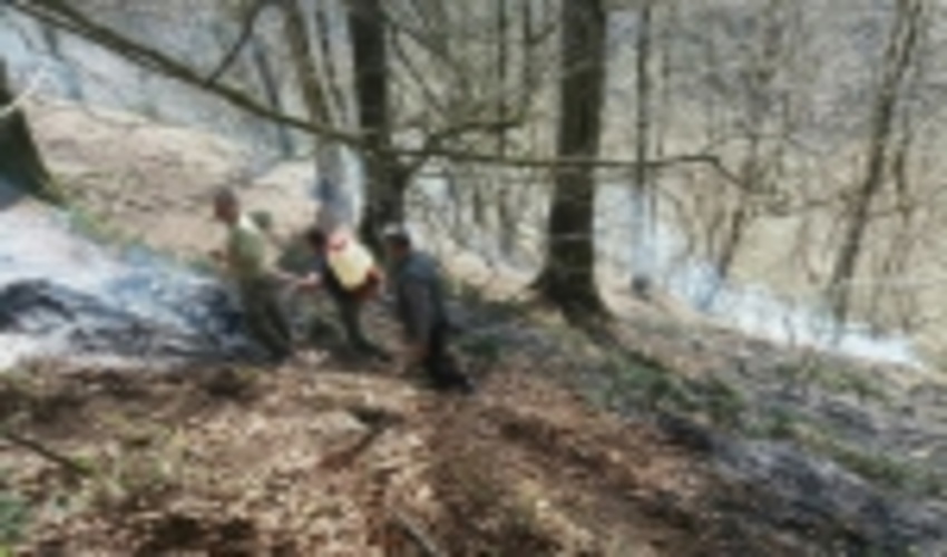 آتش‌سوزی بخشی از جنگل‌های کلاردشت مهار شد