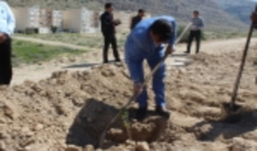 کاشت نهال در اراضی ملی شهرستان فراشبند