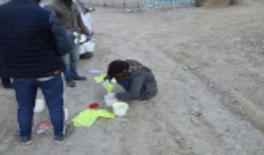 مقابله با آفت خرگوش در جنگلهاي دست كاشت استان البرز