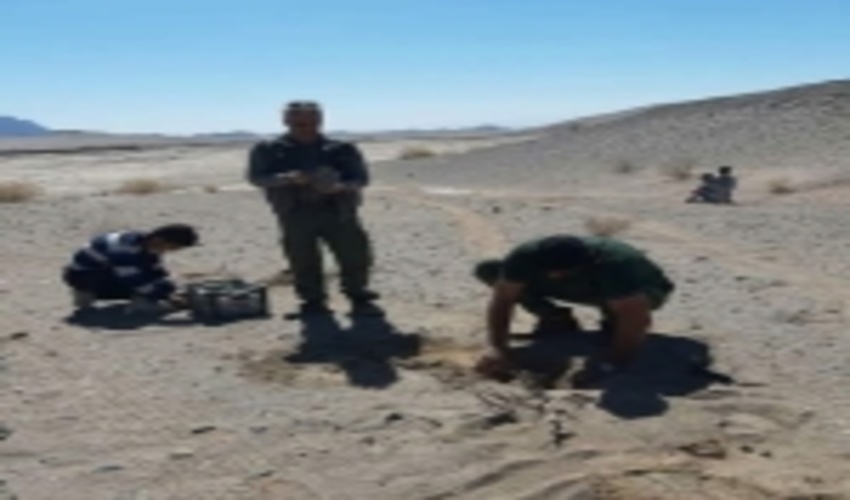 توزیع بيش از 10 هزار اصله نهال در هفته منابع طبيعي در شهرستان بافق