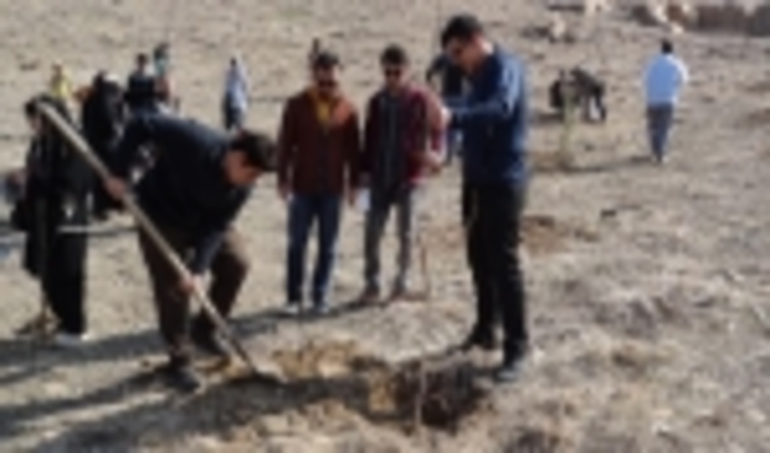 همدان/توسعه بیش از دوبرابری جنگل کاری برای حفظ ریه‌های زمین 