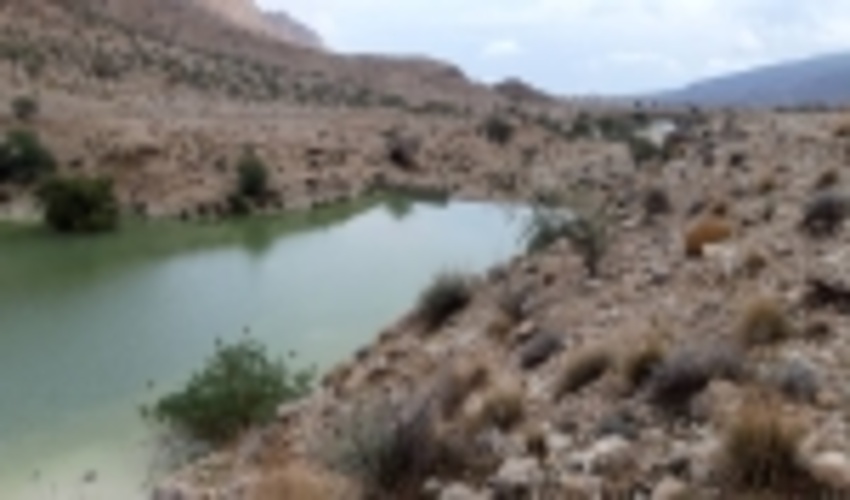 سازه‌های آبخیزداری مانع افزایش خسارات سیل شدند