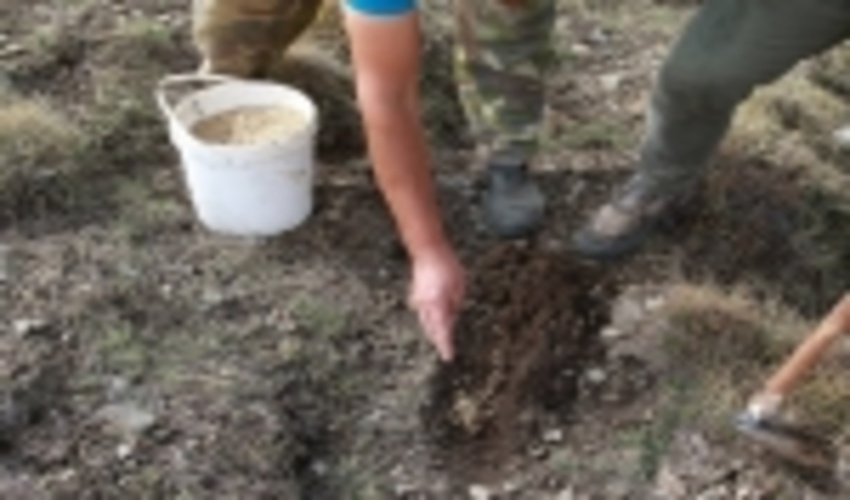  ۱۴۰۰هکتار اراضی استان سمنان کپه کاری شدند