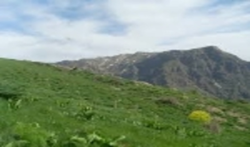 اجرای طرح نظارت روزانه منابع طبیعی شهرستان کاشان در تعطیلات نوروزی