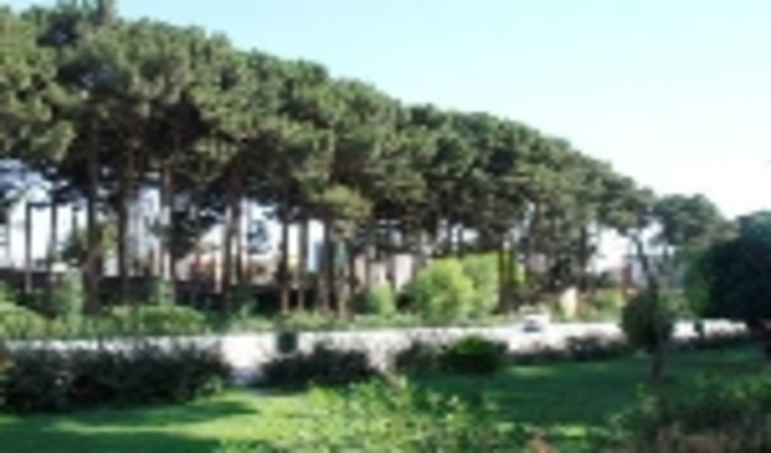 ورود به بوستان ها و عرصه های طبیعی استان تهران ممنوع اعلام شد 