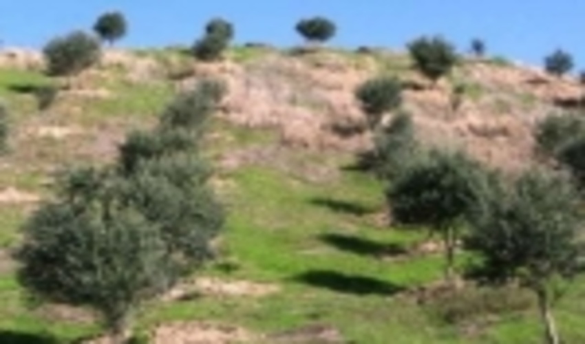  خراسان شمالی/حفاظت منابع طبیعی در تعطیلات نوروز و روز طبیعت را به دقت انجام خواهیم داد