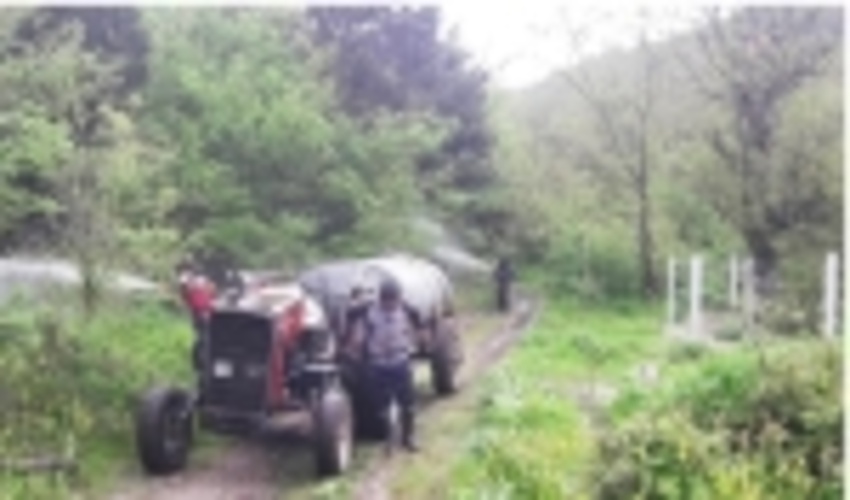 آغاز اجرای عملیات محلول پاشی زمینی آفت شب‌پره شمشاد ذخیره گاه چشمه بلبل شهرستان بندرگز