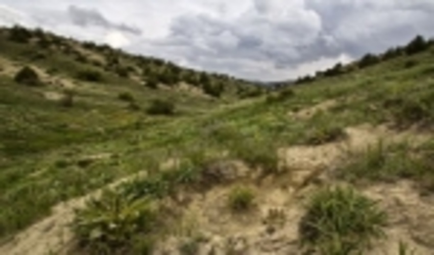 انعقاد قرارداد اخذ سند تک برگی ۸۶۷ هزار و ۲۰۰ هکتار از اراضی ملی استان مرکزی 