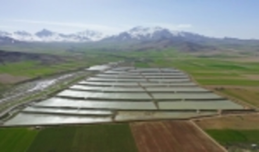 Special Allocation of 2600 Billion RLs to 12 Flood-Stricken Provinces