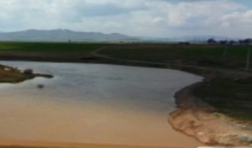 البرز/ آب و خاک اساسی‌ترین پیش نیاز برای جهش تولید بخش کشاورزی است