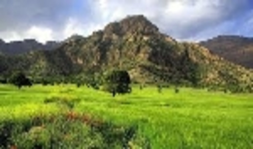 خلع ید 52000 هزار متر مربع از اراضی ملی در شهرستان سلماس 