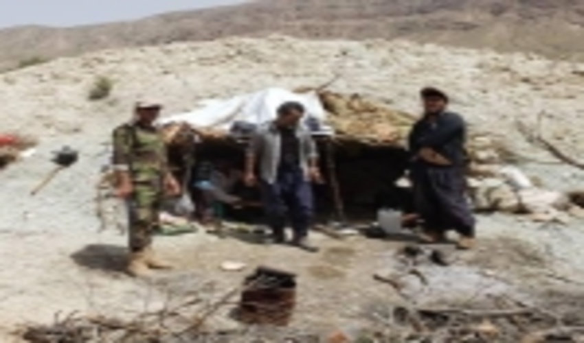 ناکام ماندن بهره برداران غیر مجاز فرآورده گیاه دارویی آنغوزه در لارستان