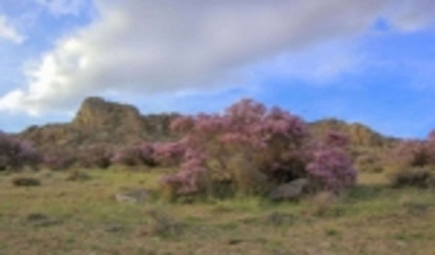 18 میلیارد ریال برای مراقبت از ذخیره‌گاه‌های ارژن چهارمحال و بختیاری هزینه شد