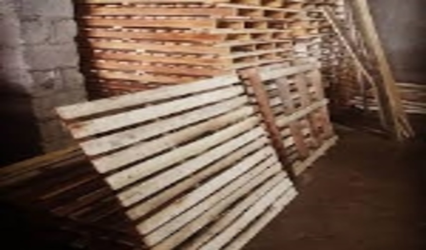 کشف و ضبط ۵۲۰ عدد پالت قاچاق در صومعه سرا