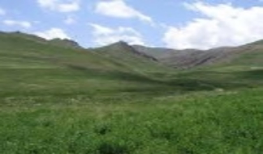 بارندگی تولید علوفه در مراتع غرب مازندران را افزایش داد