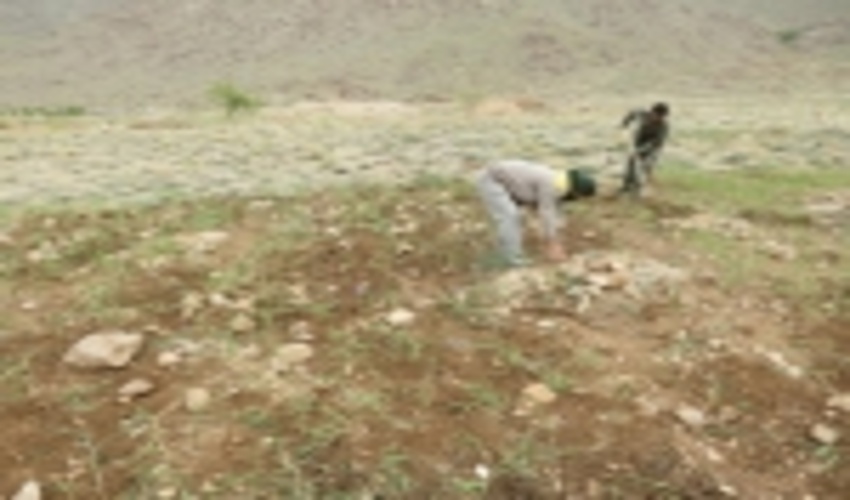 رفع تصرف اراضی ملی در روستای منشاد مهریز